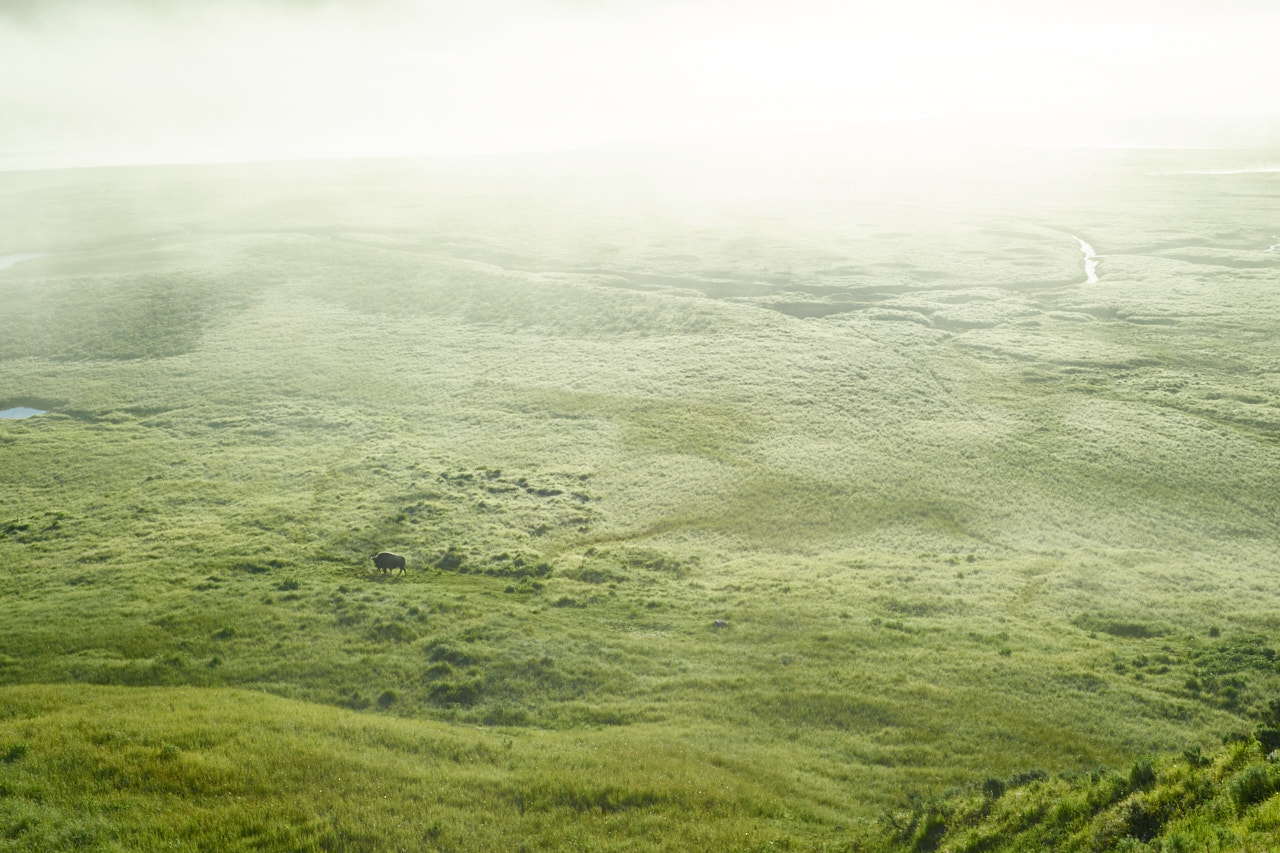 Schneider LS 55mm f/2.8 sample photo. Misty sunrise photography