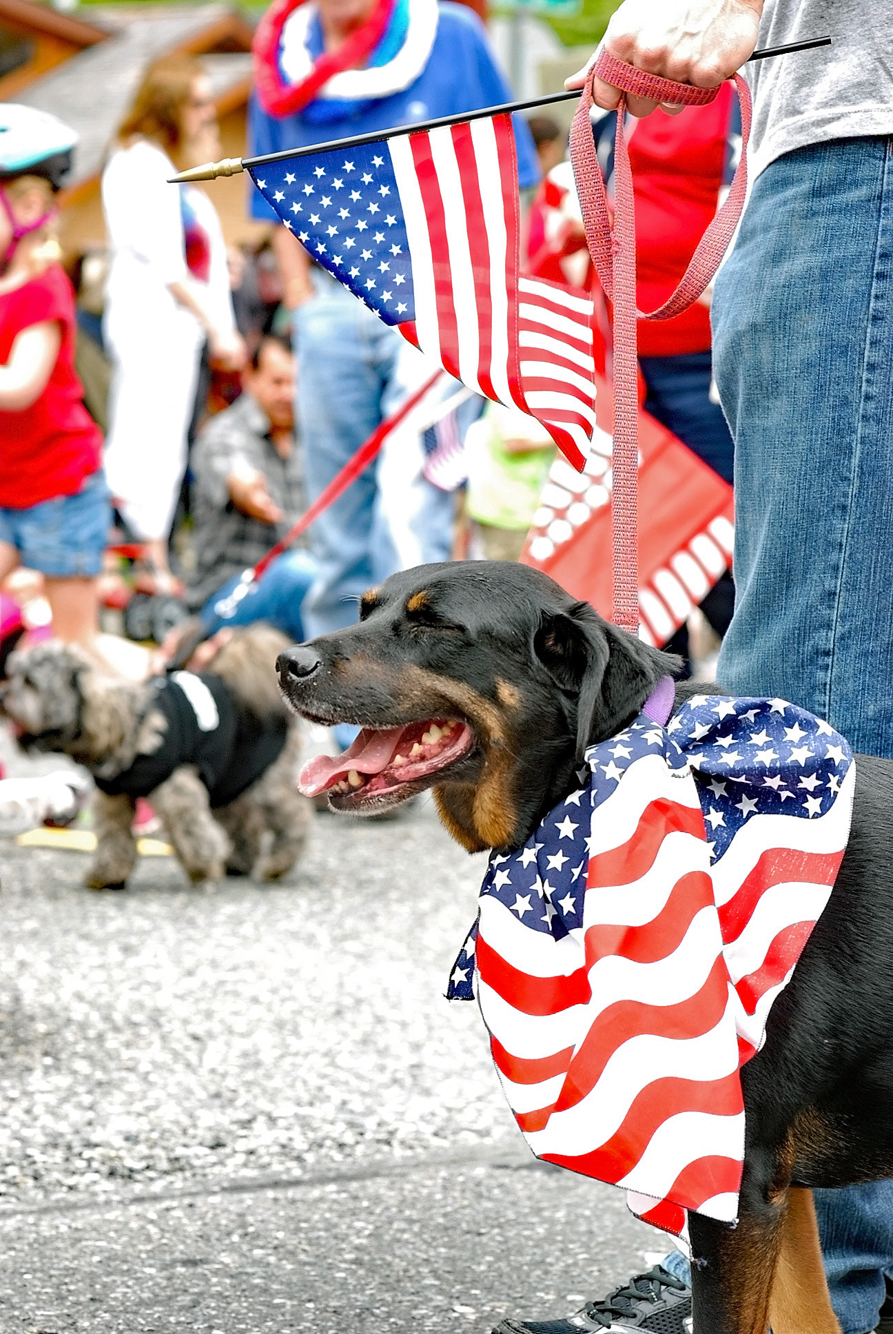 Nikon AF Nikkor 85mm F1.8D sample photo. Happy july 4th photography