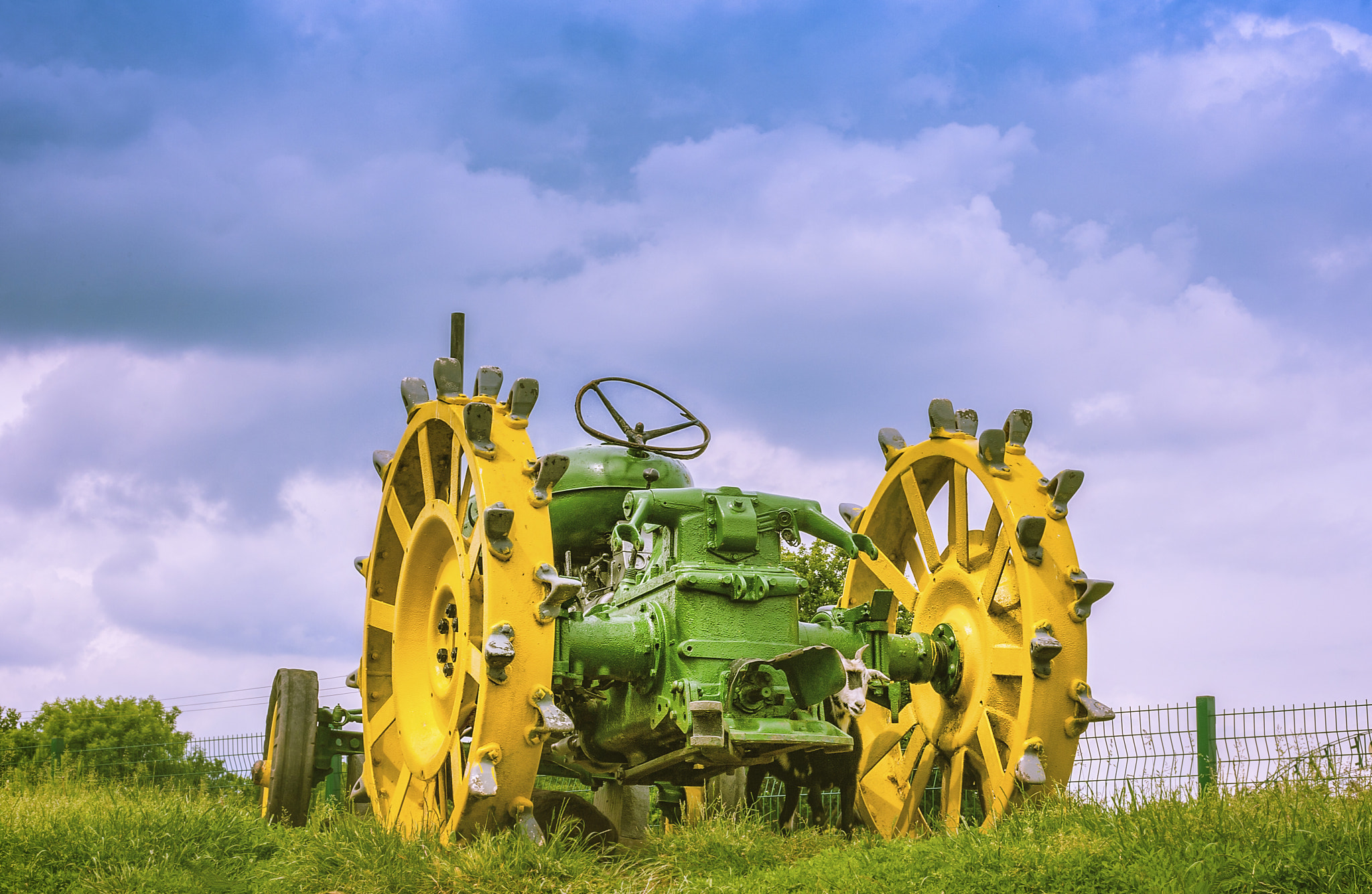 Canon EOS-1D Mark III sample photo. The goat that stare at tractors photography