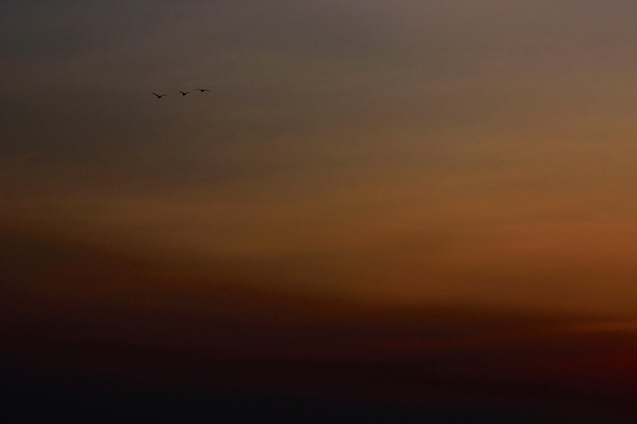Canon EF-S 55-250mm F4-5.6 IS II sample photo