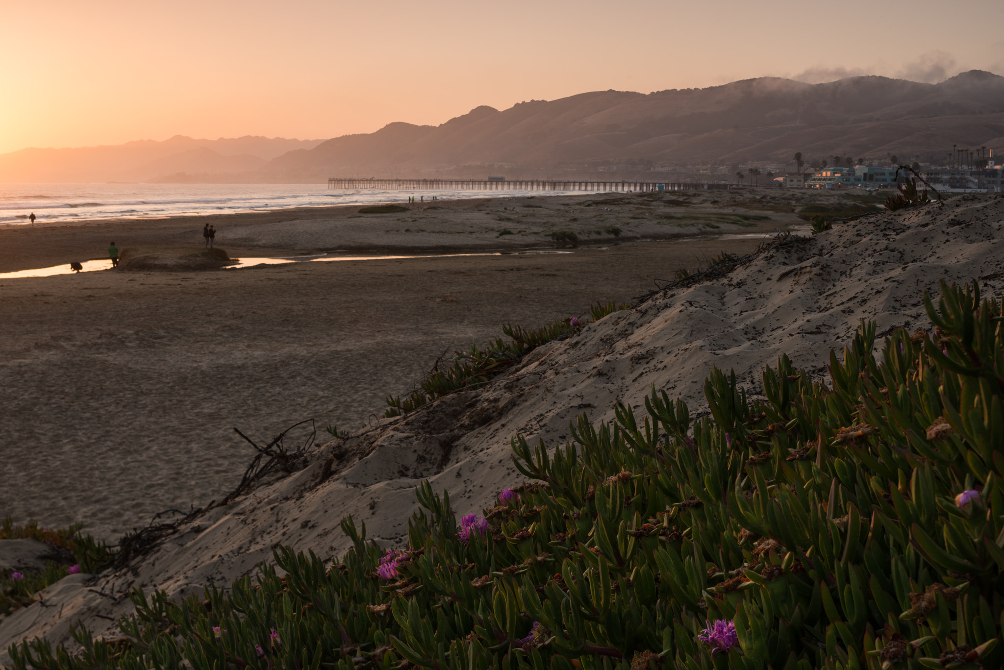 Nikon D800 + Nikon PC-E Nikkor 45mm F2.8D ED Tilt-Shift sample photo. Pismo beach sunset photography