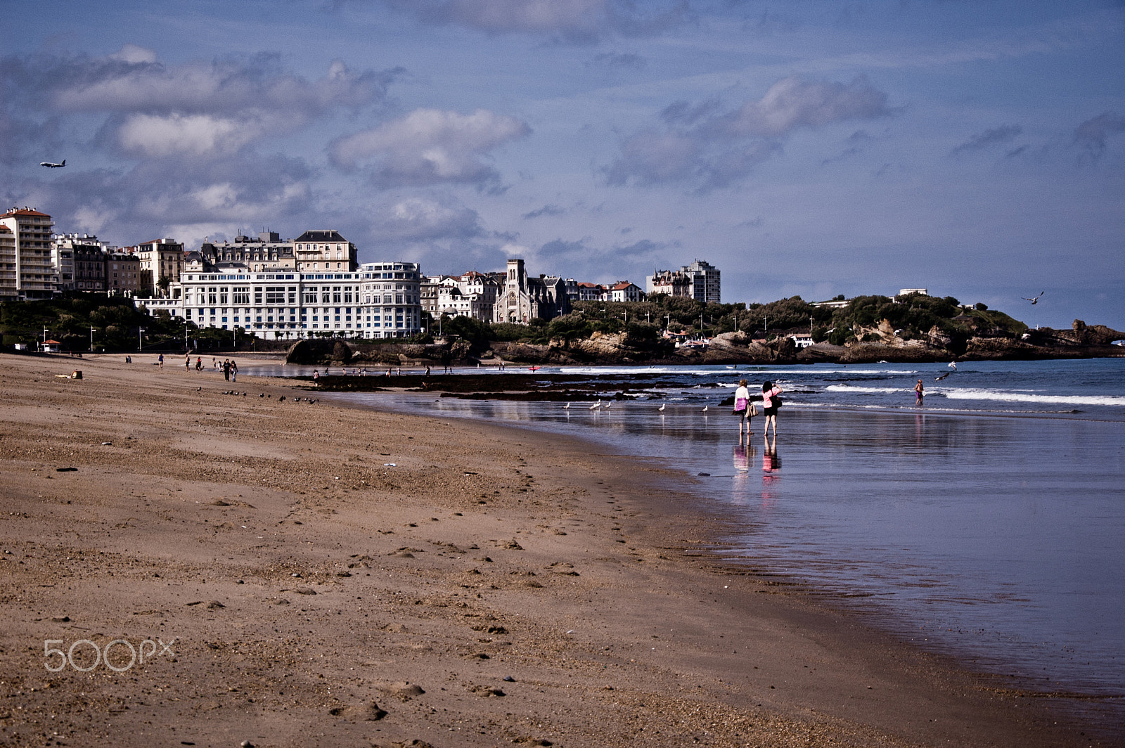 Nikon D50 sample photo. Biarritz fauna photography