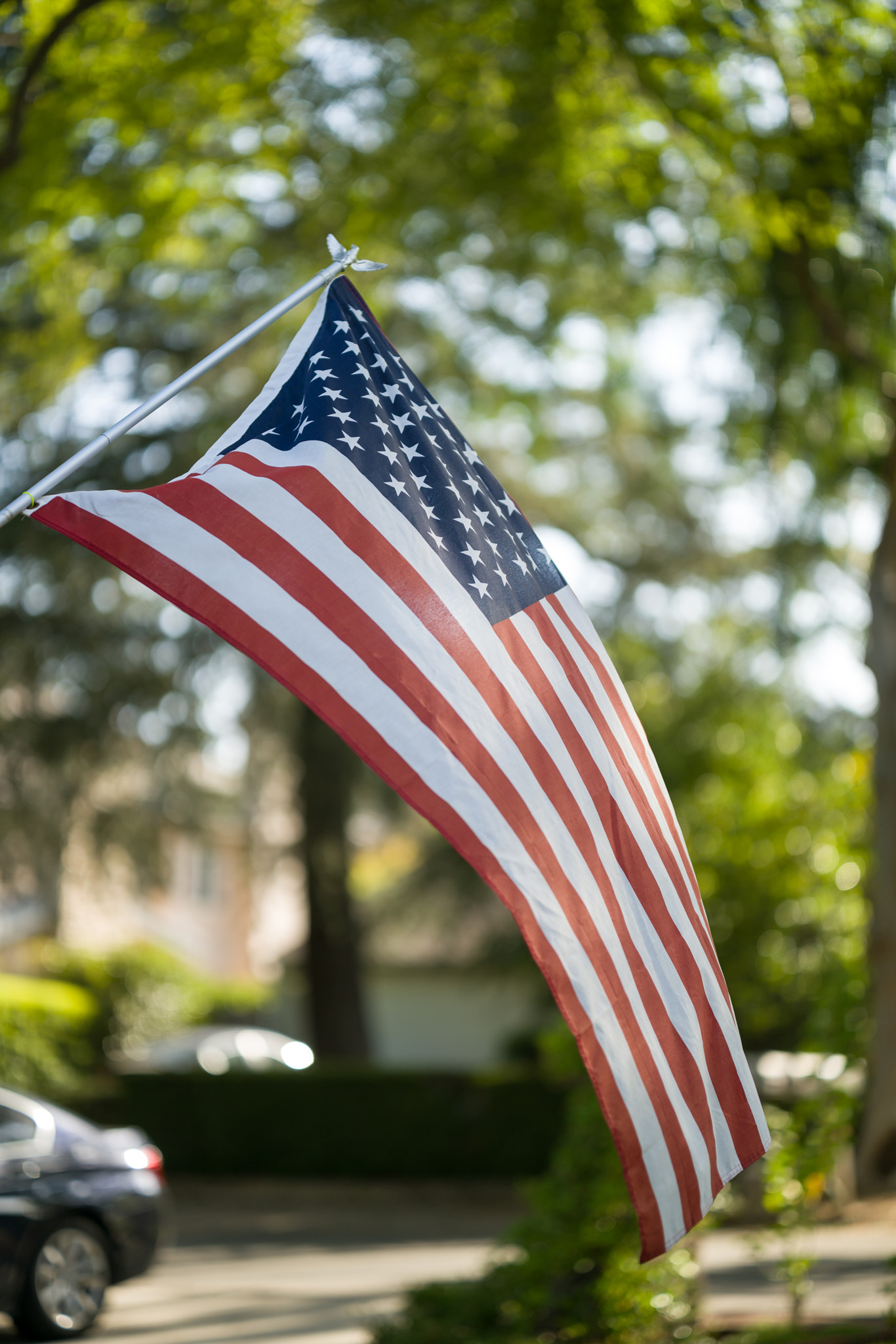 ZEISS Otus 85mm F1.4 sample photo. Happy 4th of july photography
