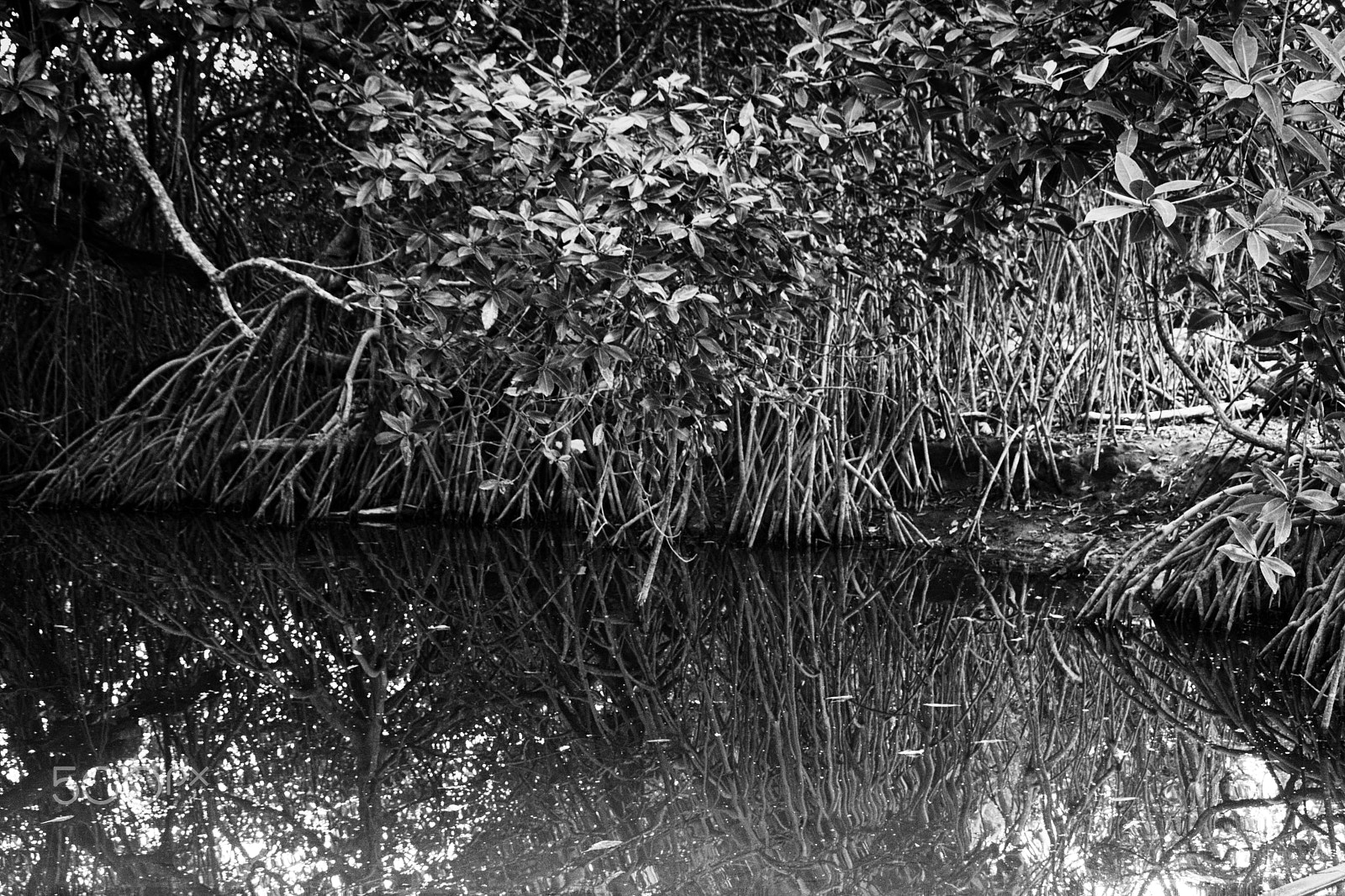 Canon EOS 40D sample photo. Costa rica photography