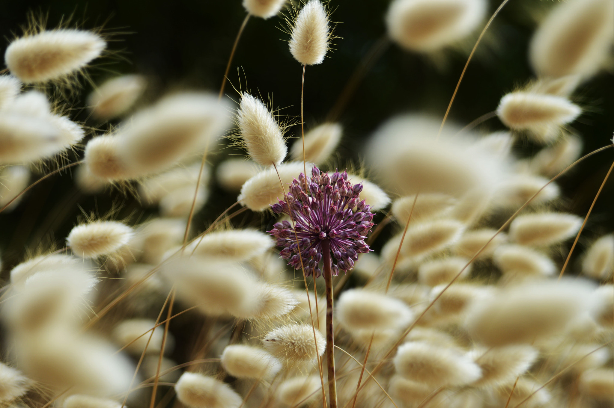 Nikon D3200 sample photo. Alone in the crowd photography