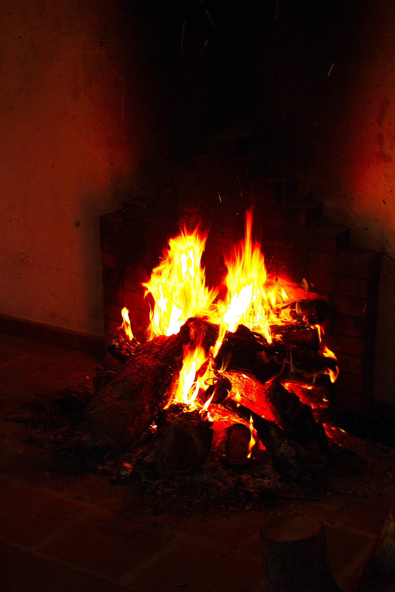 Sigma SD14 sample photo. Fire photography
