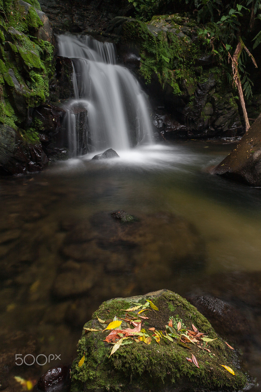 Sigma 18-50mm F2.8-4.5 DC OS HSM sample photo. Wonders of nature photography