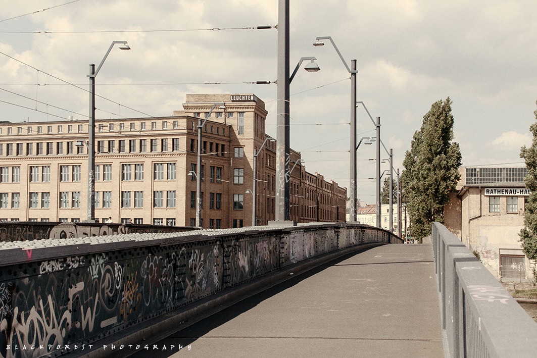 Canon EF 75-300mm F4.0-5.6 IS USM sample photo. Bridge photography