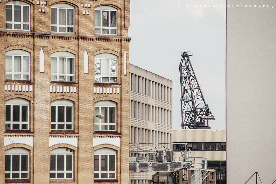 Canon EF 75-300mm F4.0-5.6 IS USM sample photo. Durchblick photography