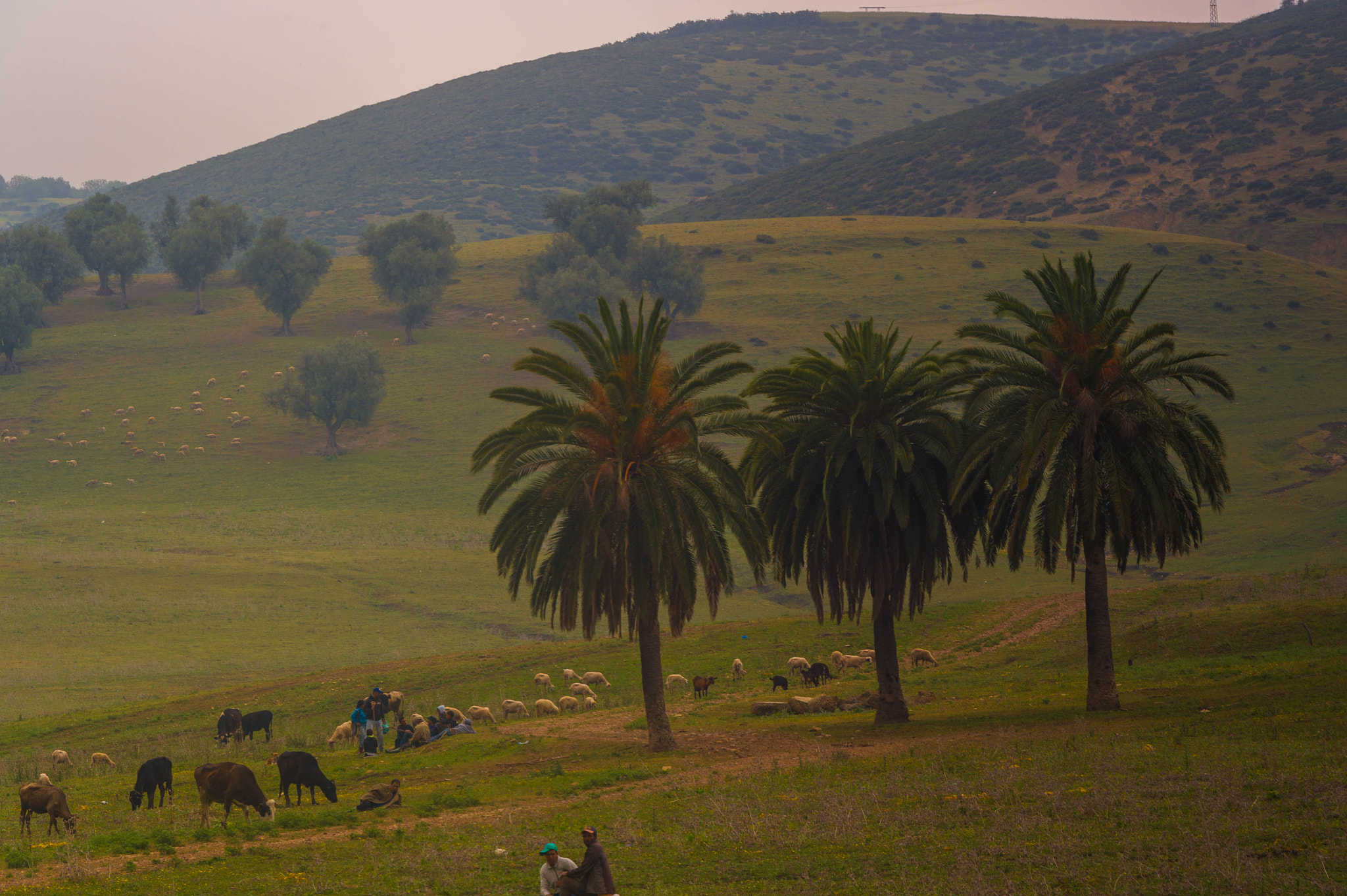 Nikon D4S sample photo. Route chefchaouen photography