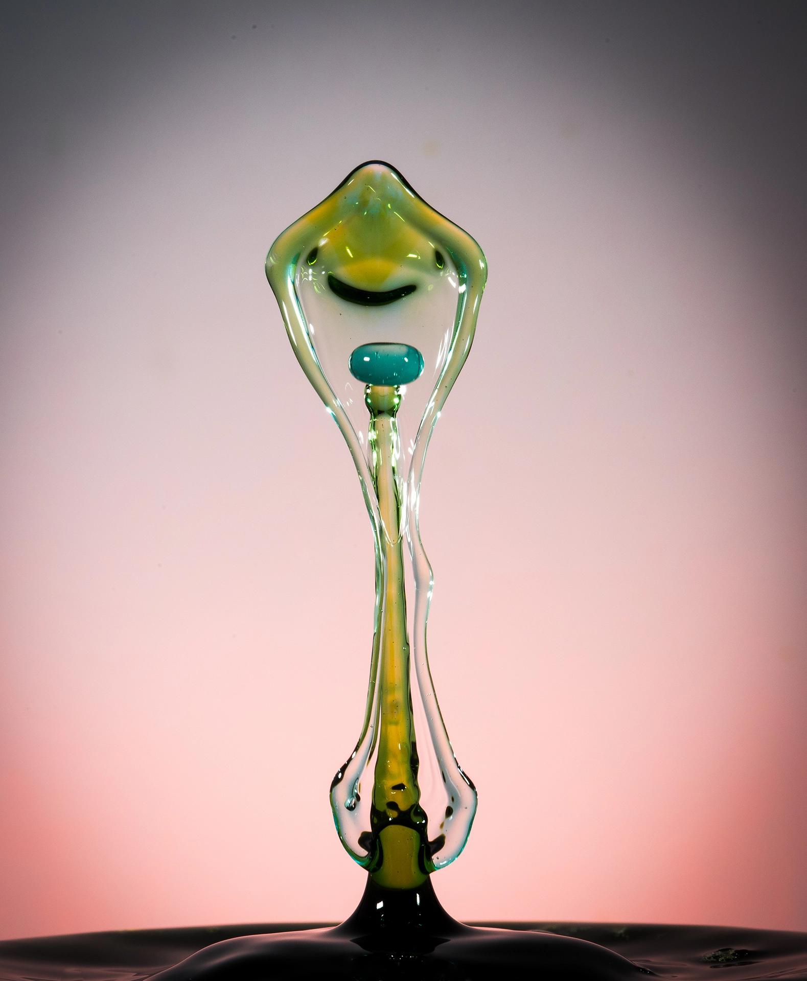 Nikon D810 + Nikon AF Micro-Nikkor 200mm F4D ED-IF sample photo. La chose photography