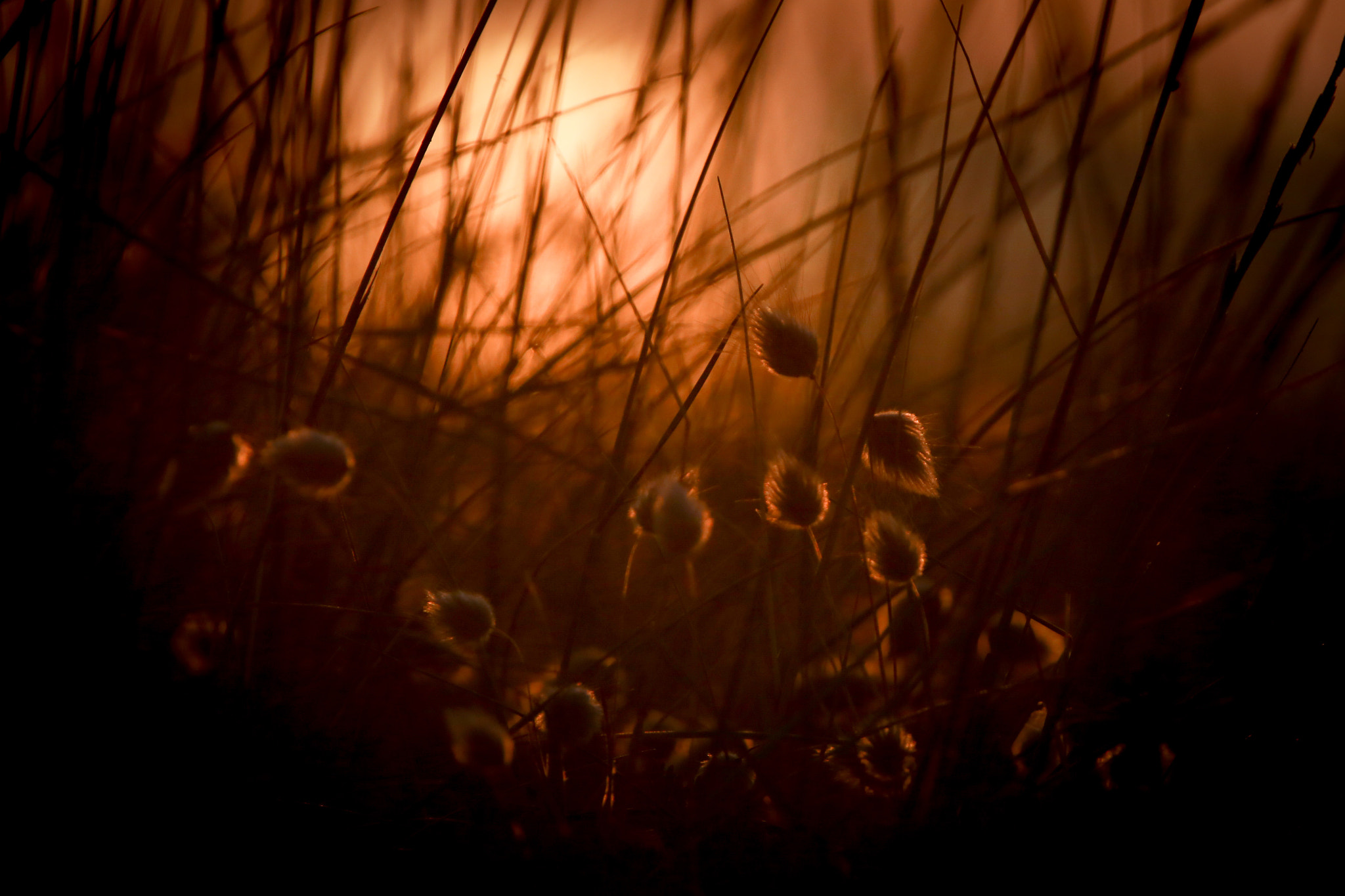 Canon EF 70-200mm F2.8L IS II USM sample photo. Il rumore del mare photography