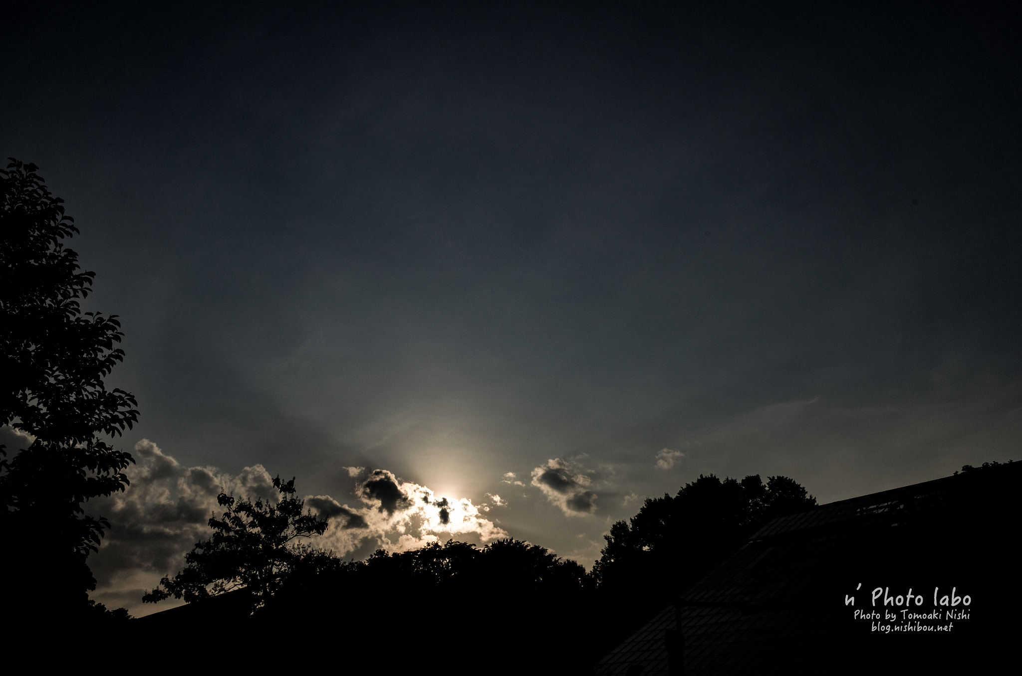 Summicron T 1:2 23 ASPH. sample photo. Sora034 photography