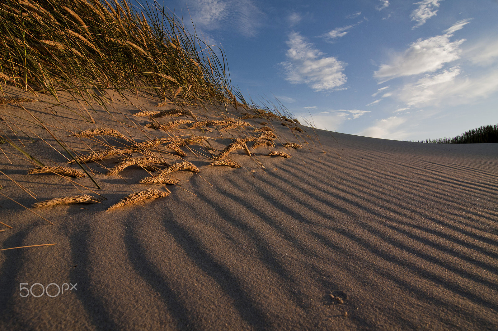 Tokina AT-X Pro 12-24mm F4 (IF) DX sample photo. Sand photography