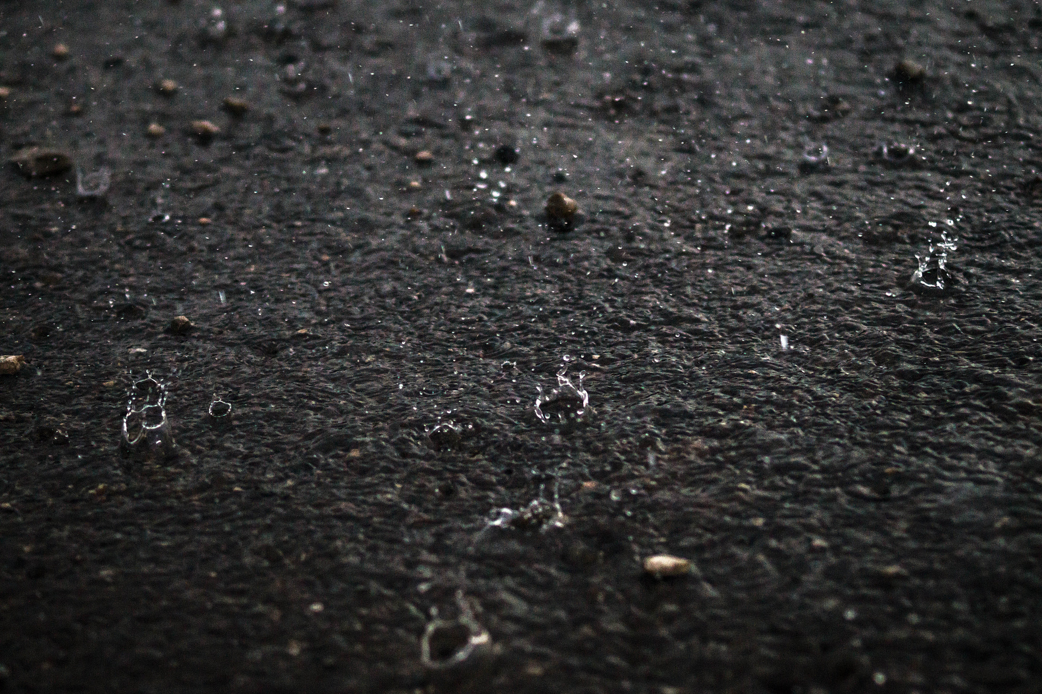 Sony SLT-A58 + Sony 100mm F2.8 Macro sample photo. Rain photography