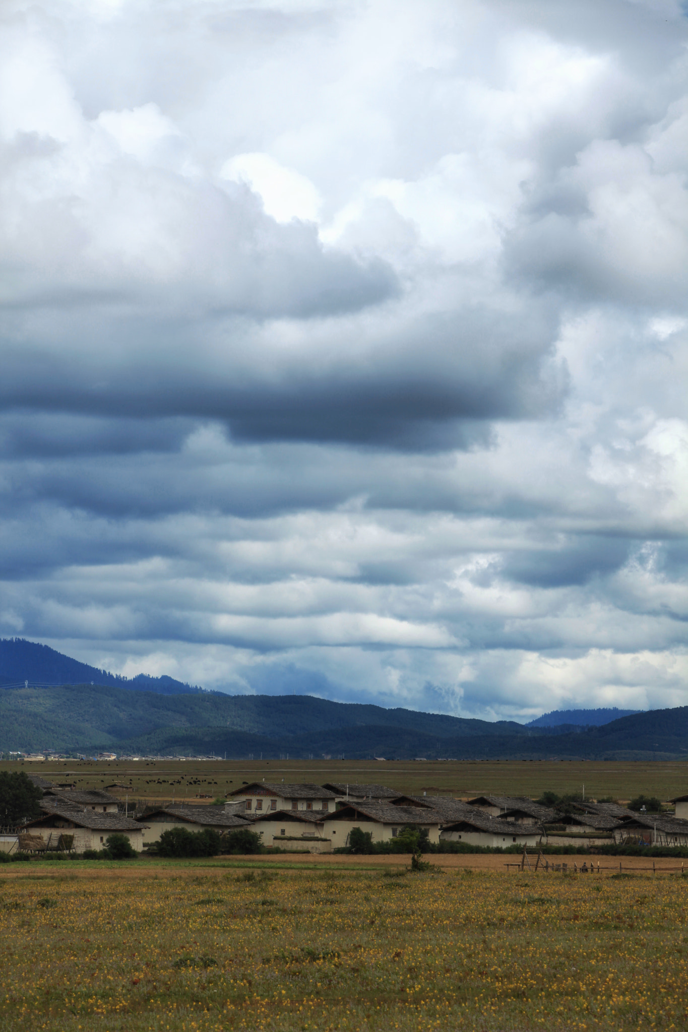Canon EF 70-200mm F2.8L IS USM sample photo