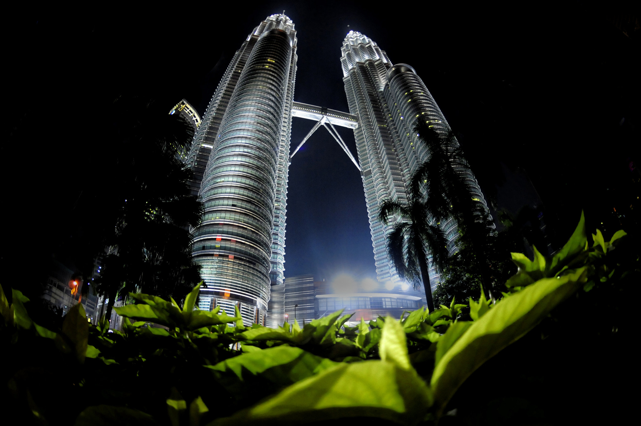 Nikon AF DX Fisheye-Nikkor 10.5mm F2.8G ED sample photo. Klcc photography