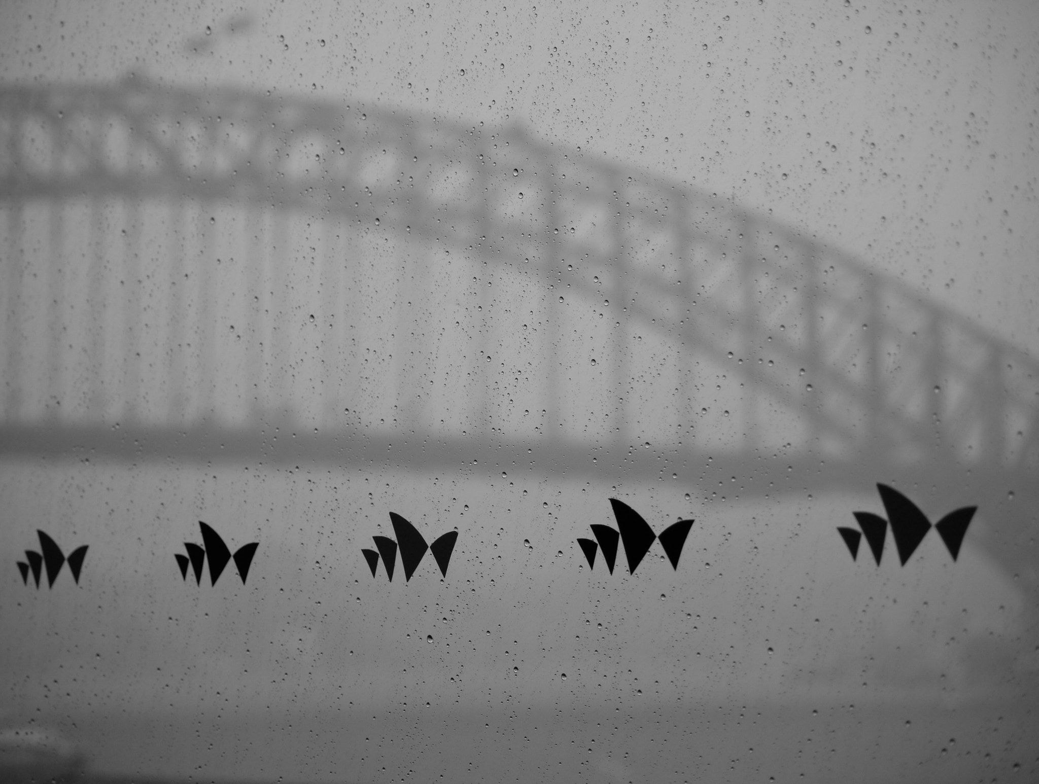 Panasonic Lumix G Vario 45-200mm F4-5.6 OIS sample photo. Rain at the opera photography