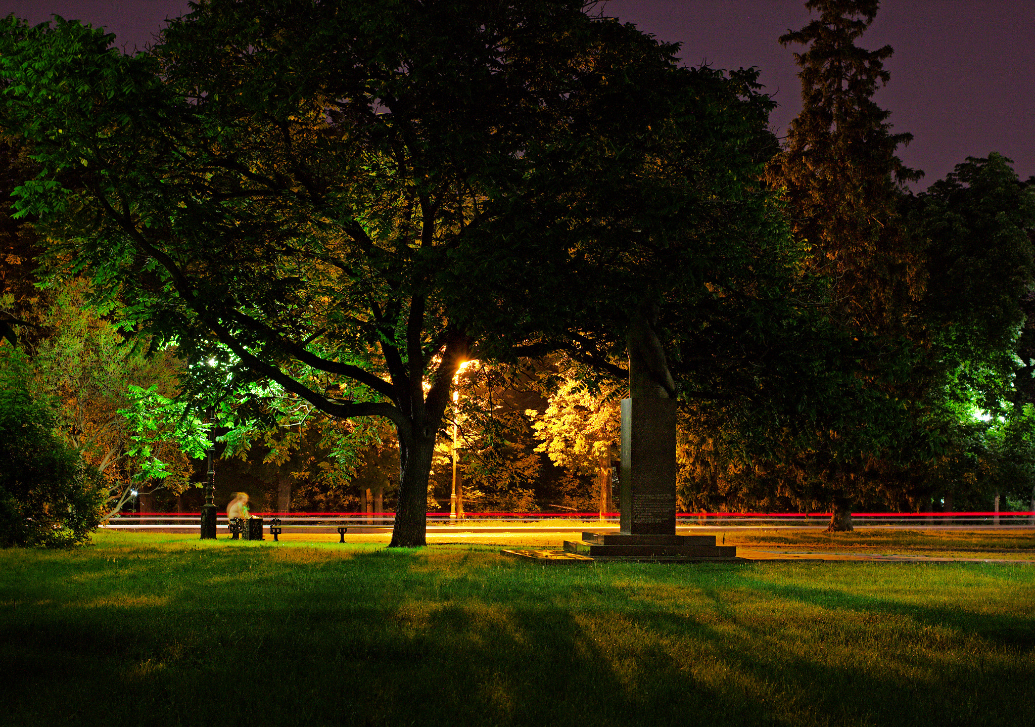 Canon EOS 550D (EOS Rebel T2i / EOS Kiss X4) + Canon EF 40mm F2.8 STM sample photo. Night tree photography
