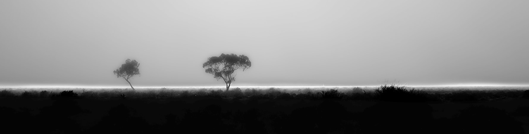 Canon EOS-1D Mark IV sample photo. Fog line photography