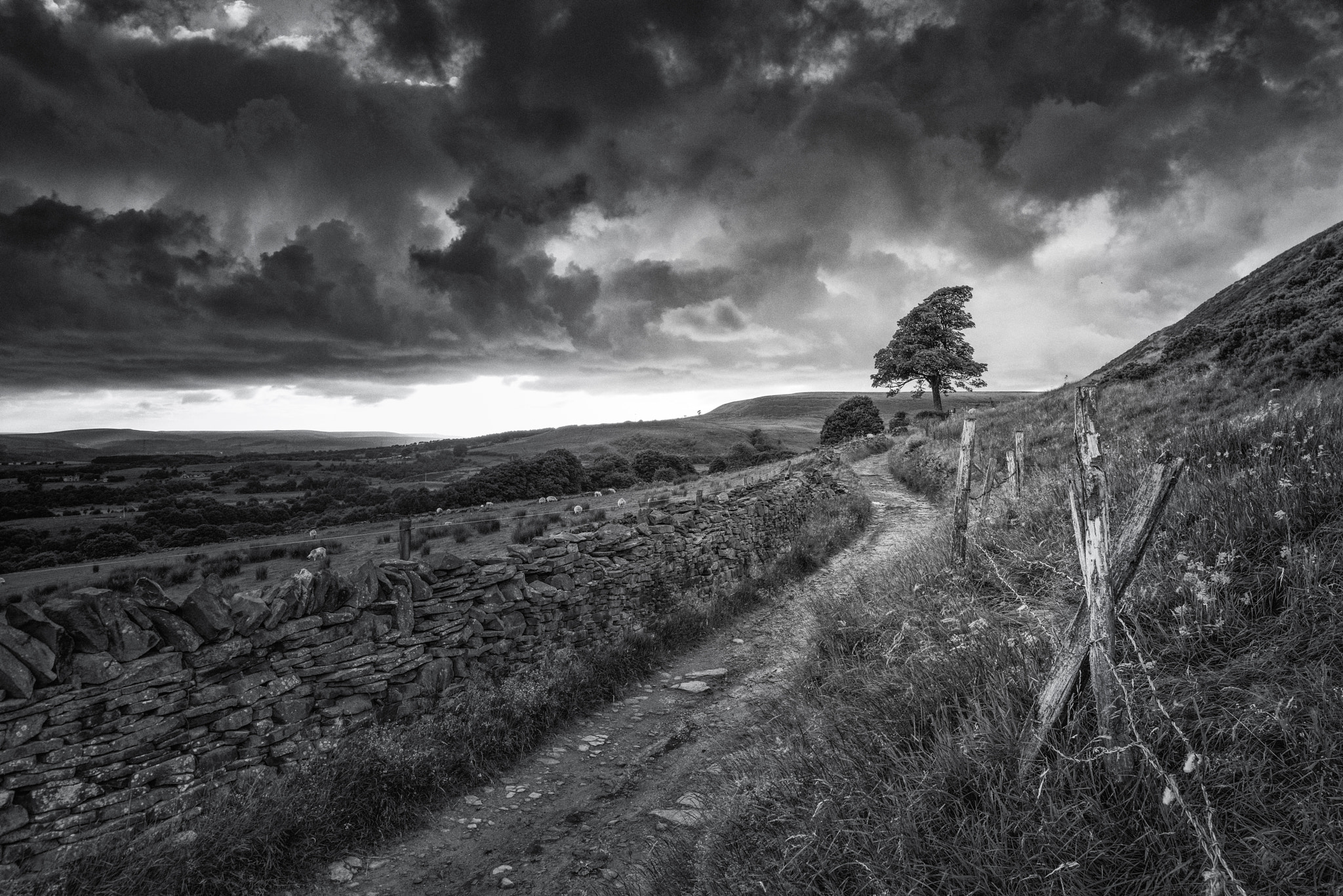 Nikon D800 + Nikon PC-E Nikkor 24mm F3.5D ED Tilt-Shift sample photo. Dark skies photography