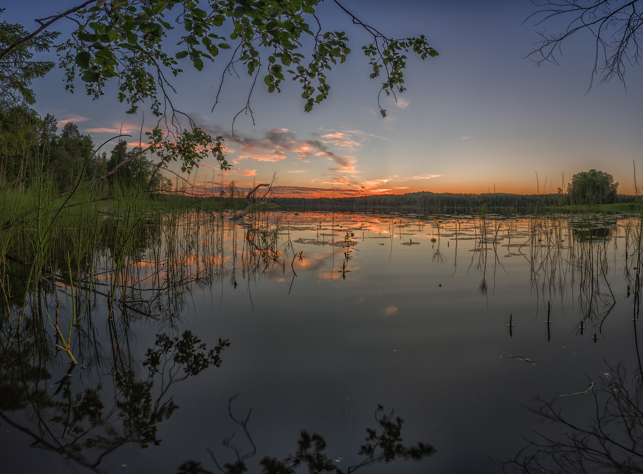 Pentax smc DA 15mm F4 ED AL Limited sample photo. *** photography