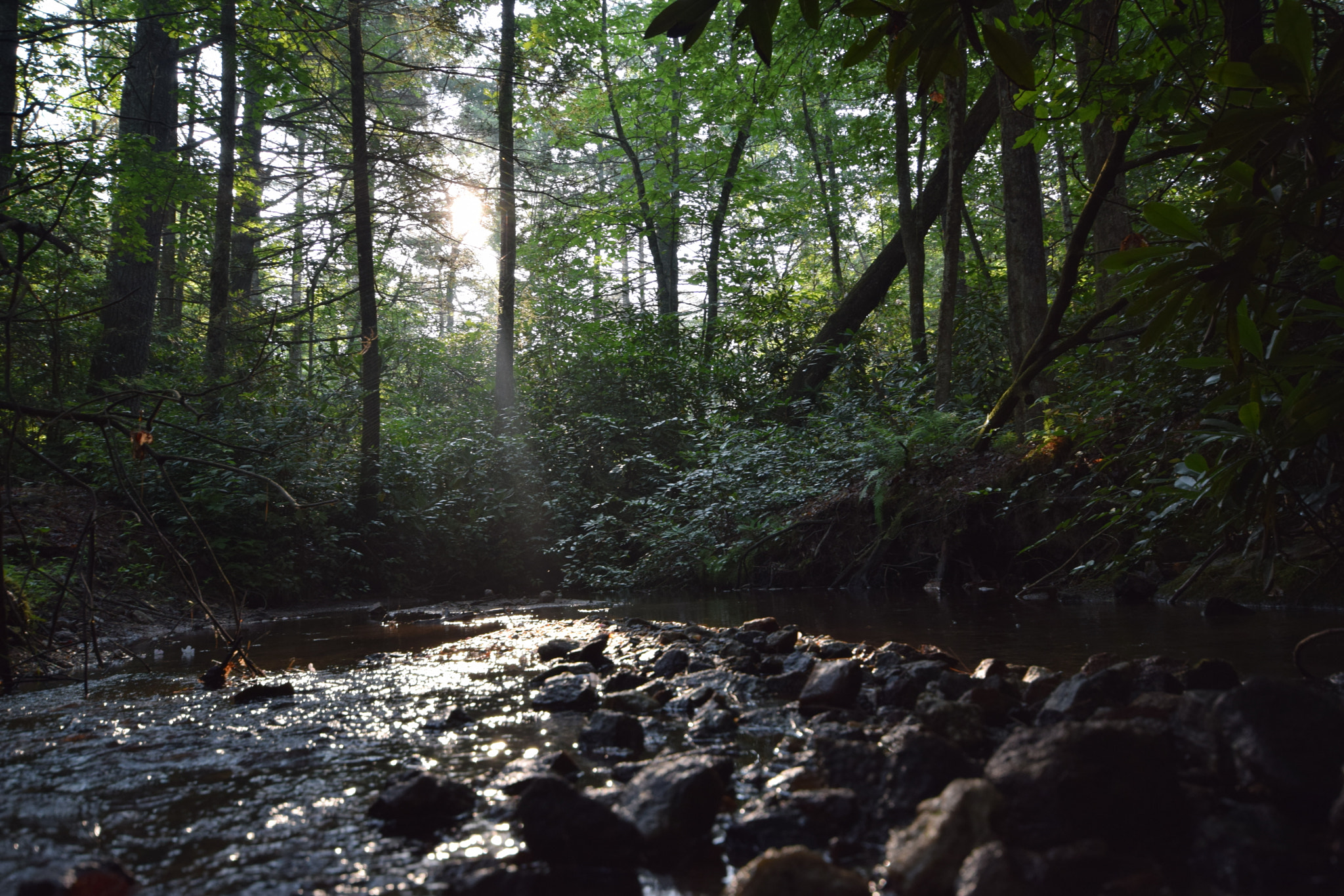 Sigma 10-20mm F4-5.6 EX DC HSM sample photo. Silent creek bed photography
