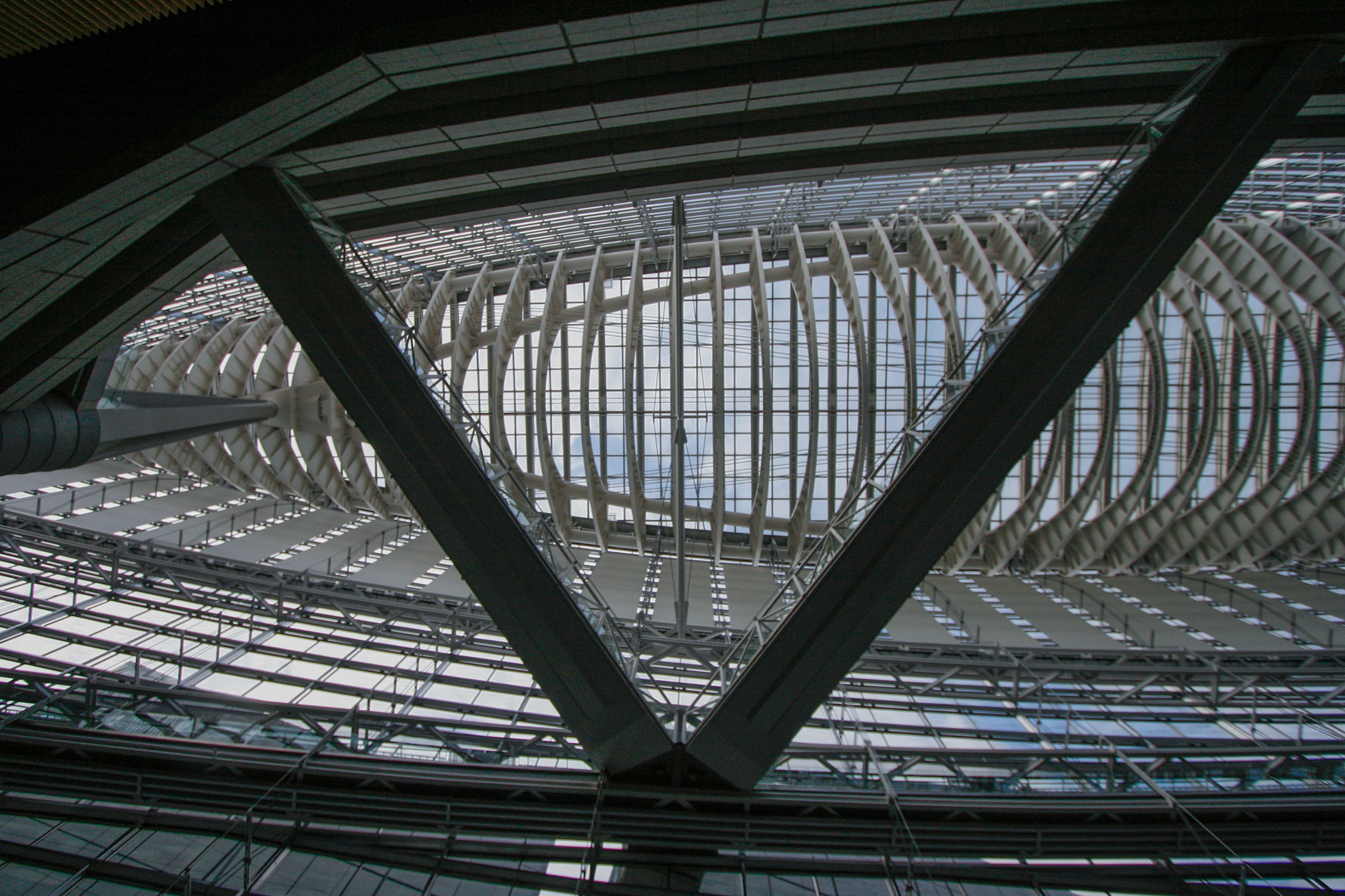 Canon EF-S 10-22mm F3.5-4.5 USM sample photo. Tokyo international forum photography