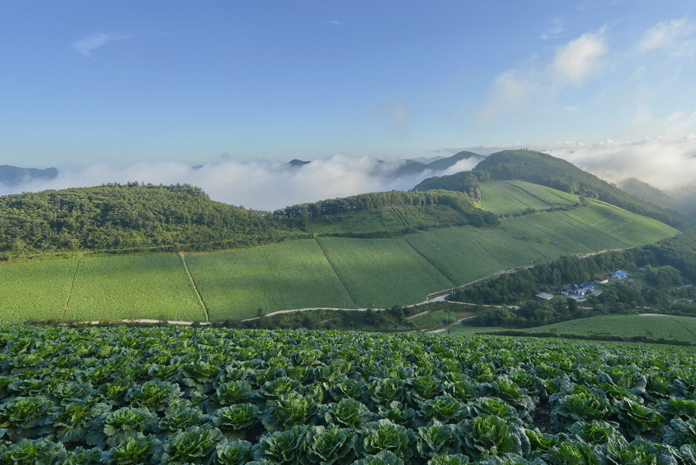 Nikon D800E + Sigma 12-24mm F4.5-5.6 EX DG Aspherical HSM sample photo. Village gwinaemi photography