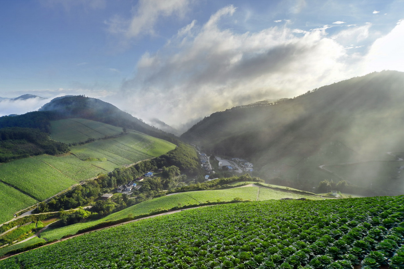 Nikon D800E + Sigma 12-24mm F4.5-5.6 EX DG Aspherical HSM sample photo. Village gwinaemi photography