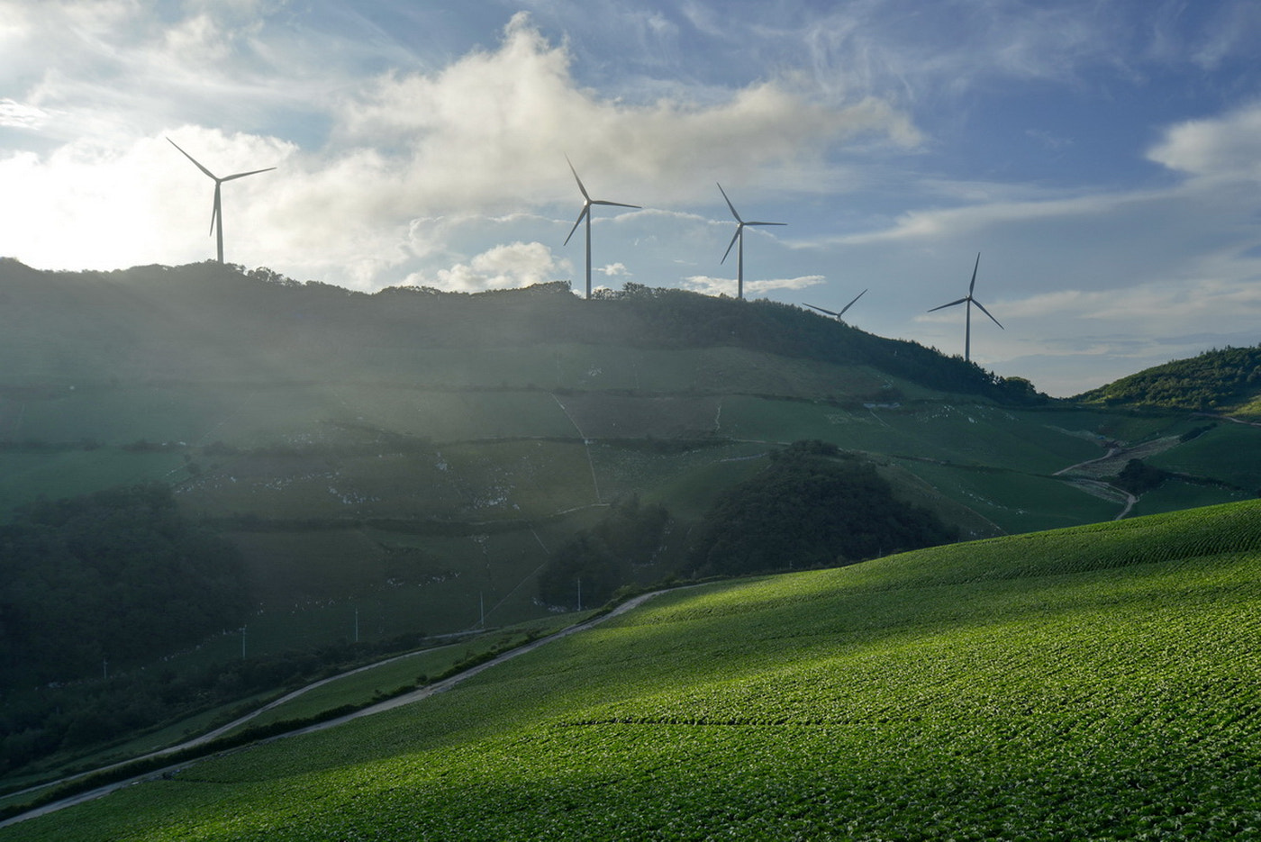 Nikon D800E + Sigma 12-24mm F4.5-5.6 EX DG Aspherical HSM sample photo. Village gwinaemi photography