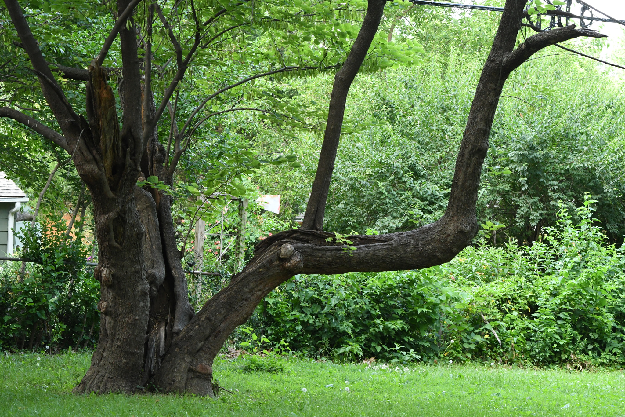 Nikon D500 sample photo