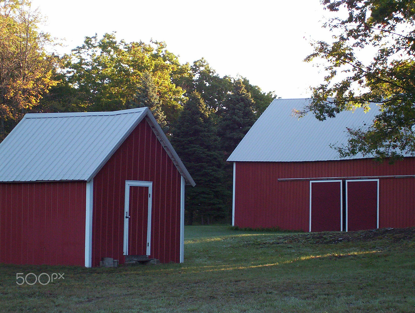 Kodak EASYSHARE CX6230 ZOOM DIGITAL CAMERA sample photo. Down on the farm --- volovlek farm that is. photography