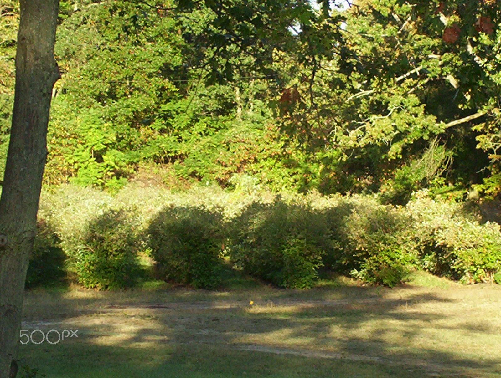 Kodak EASYSHARE CX6230 ZOOM DIGITAL CAMERA sample photo. Down on the farm --- volovlek farm that is. photography