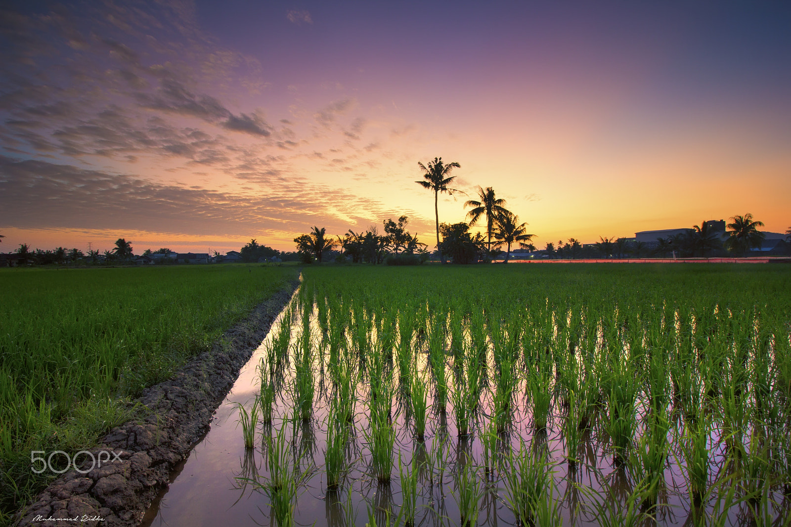 Canon EOS 60D + Canon EF-S 10-18mm F4.5–5.6 IS STM sample photo. Jum'at mubarak photography