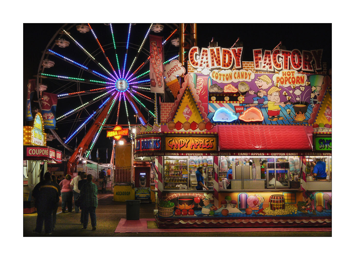 Panasonic Lumix DMC-GF1 sample photo. At the state fair photography