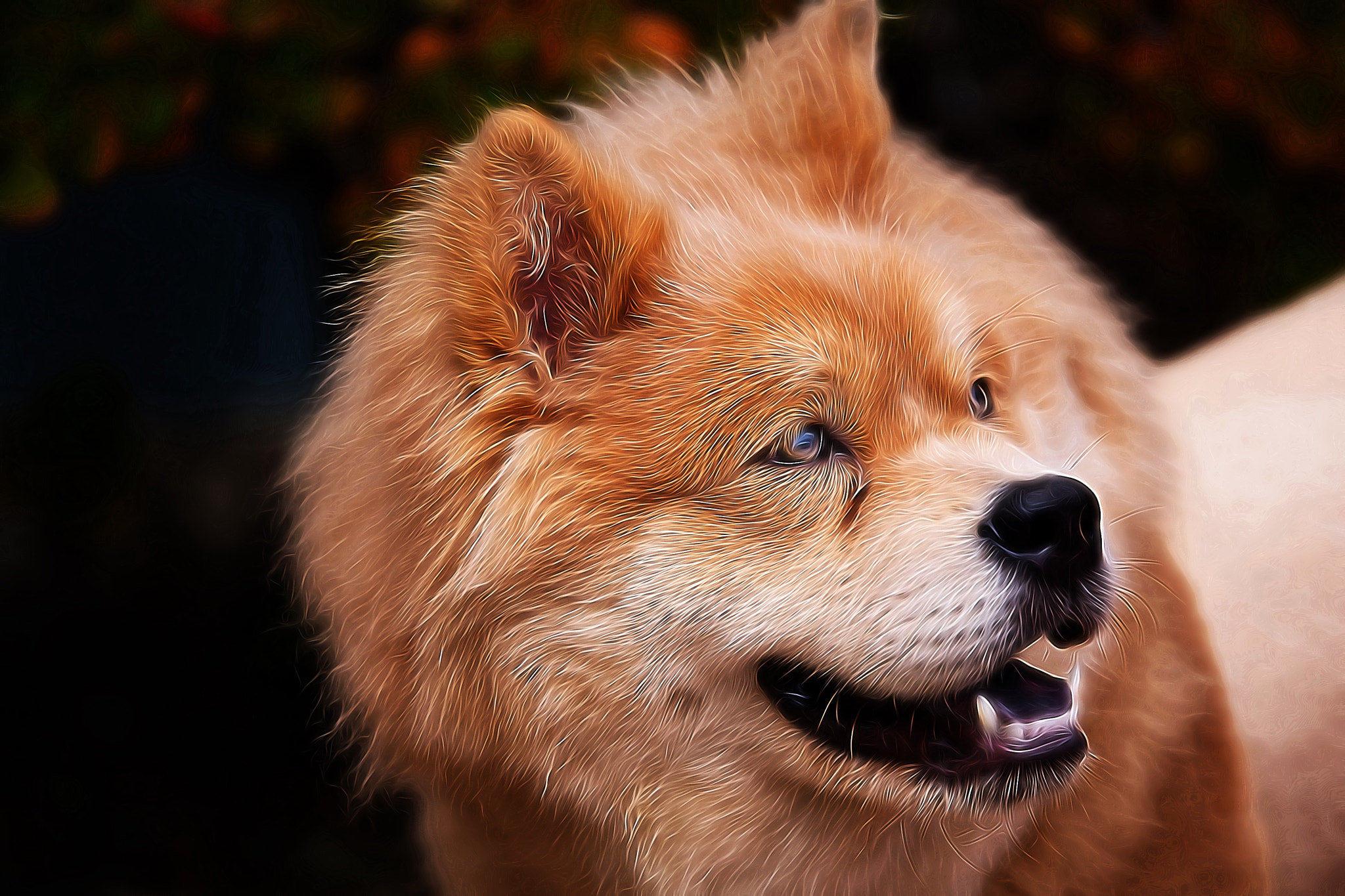 Sony ILCA-77M2 + Tamron SP 70-200mm F2.8 Di VC USD sample photo. Pup photography