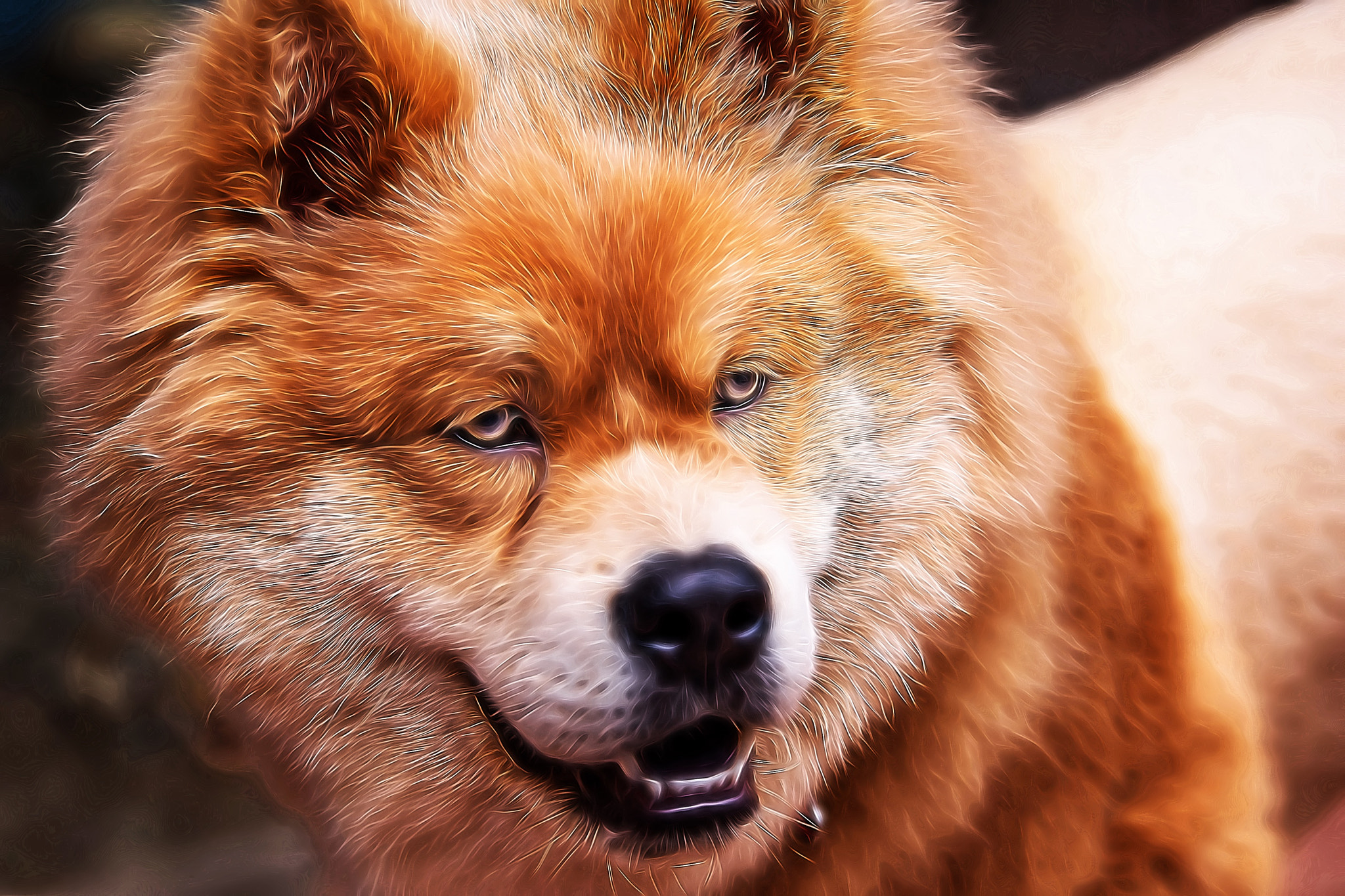 Sony ILCA-77M2 + Tamron SP 70-200mm F2.8 Di VC USD sample photo. Dog photography