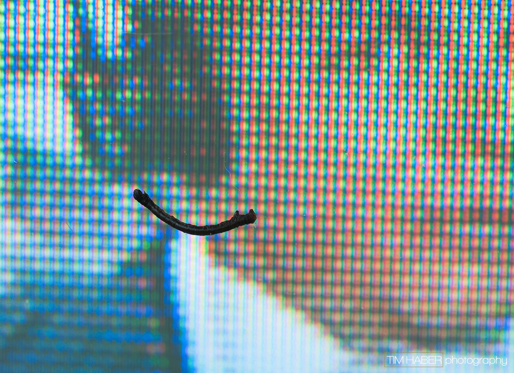 Sigma 105mm F2.8 EX DG OS HSM sample photo. On tv photography