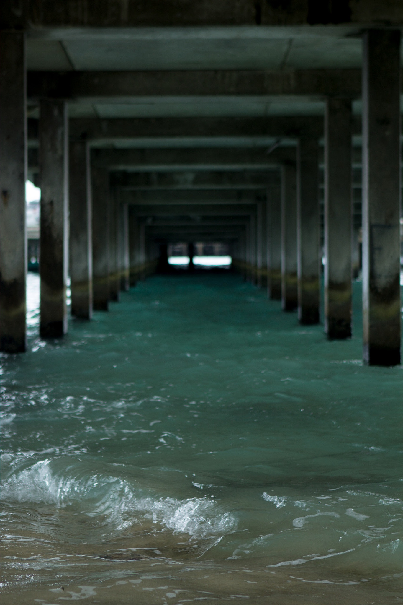 Canon EF 24-70mm F2.8L USM sample photo