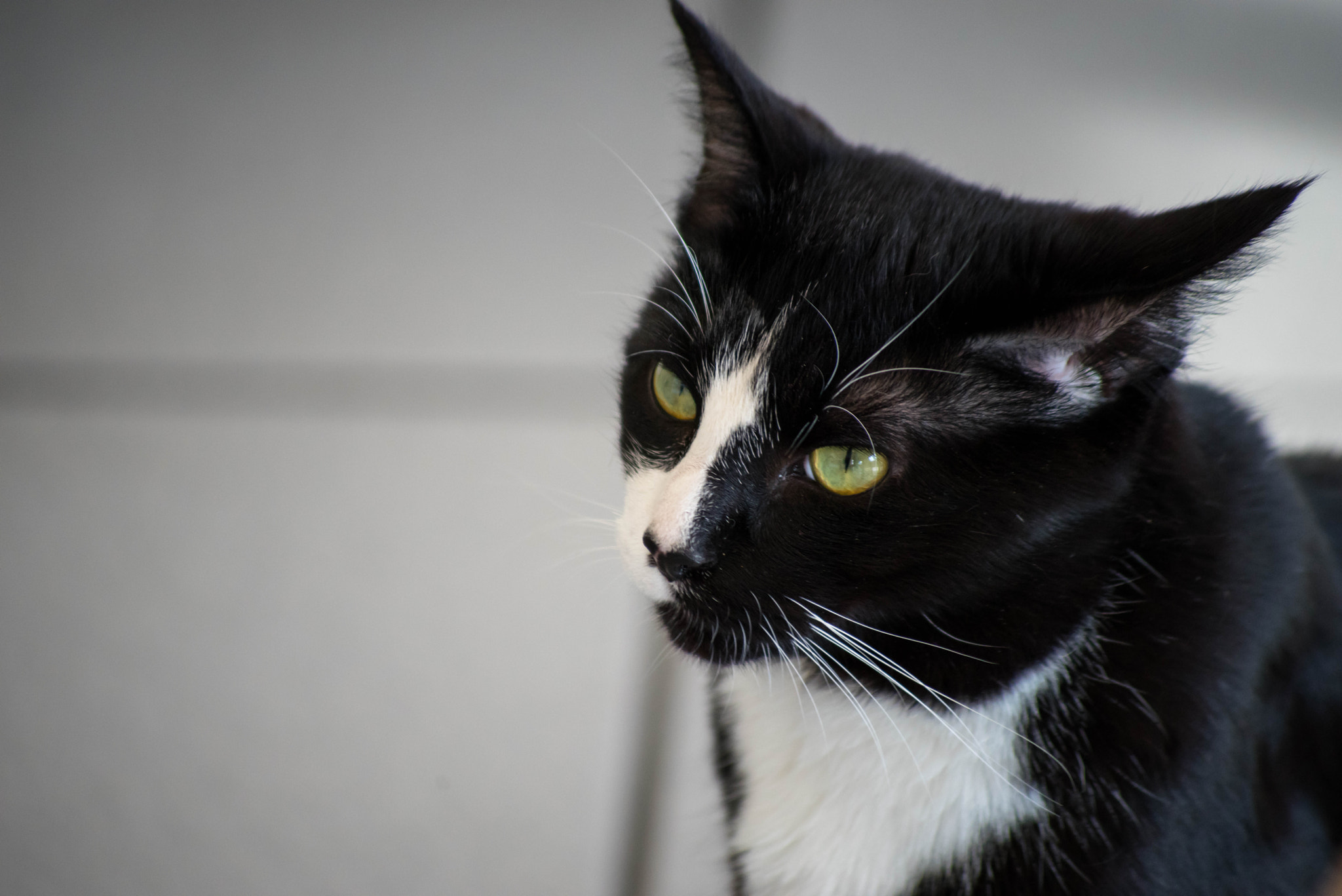 smc PENTAX-FA 80-320mm F4.5-5.6 sample photo. Pentax k-1 photography