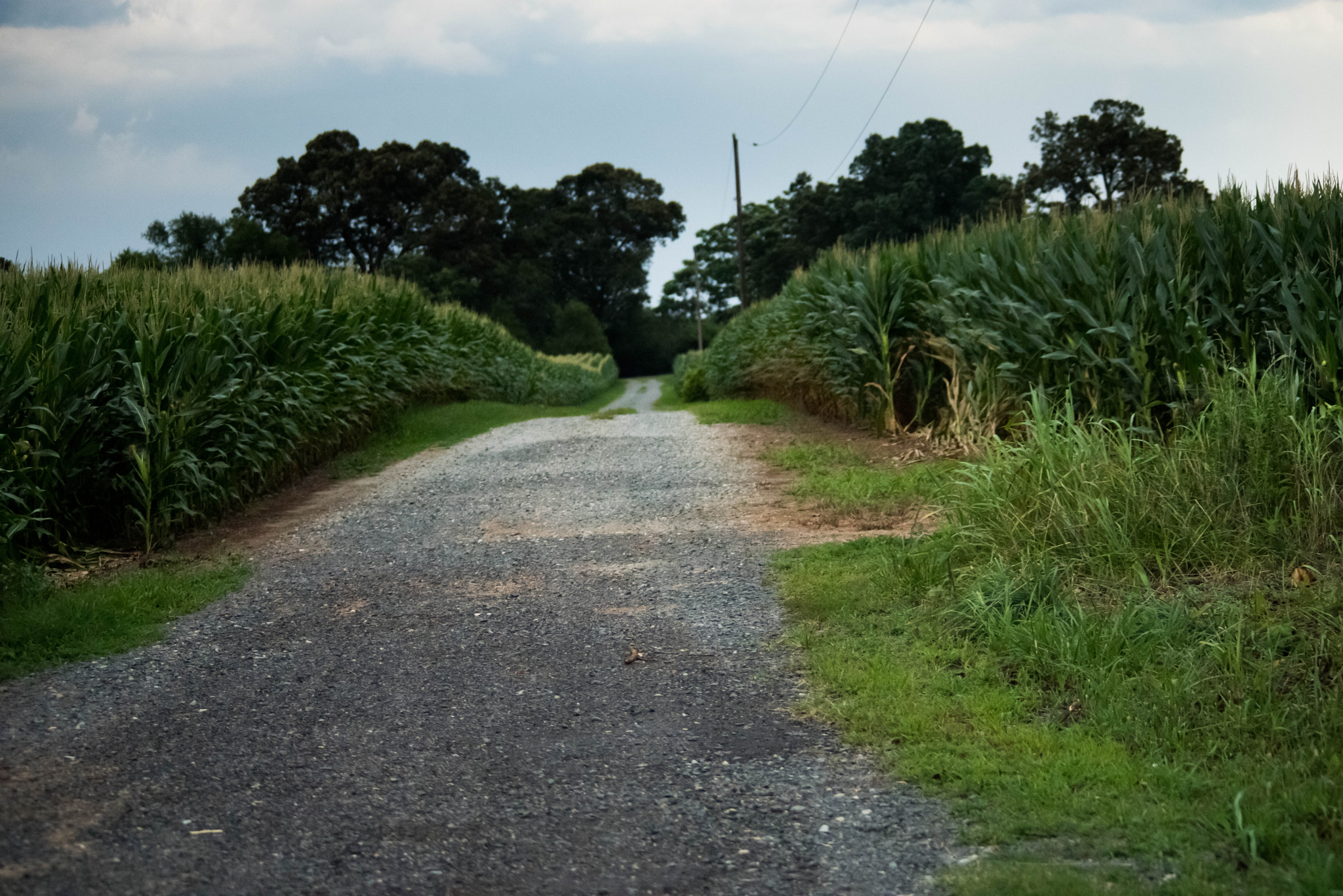 smc PENTAX-FA 80-320mm F4.5-5.6 sample photo. Pentax k-1 photography