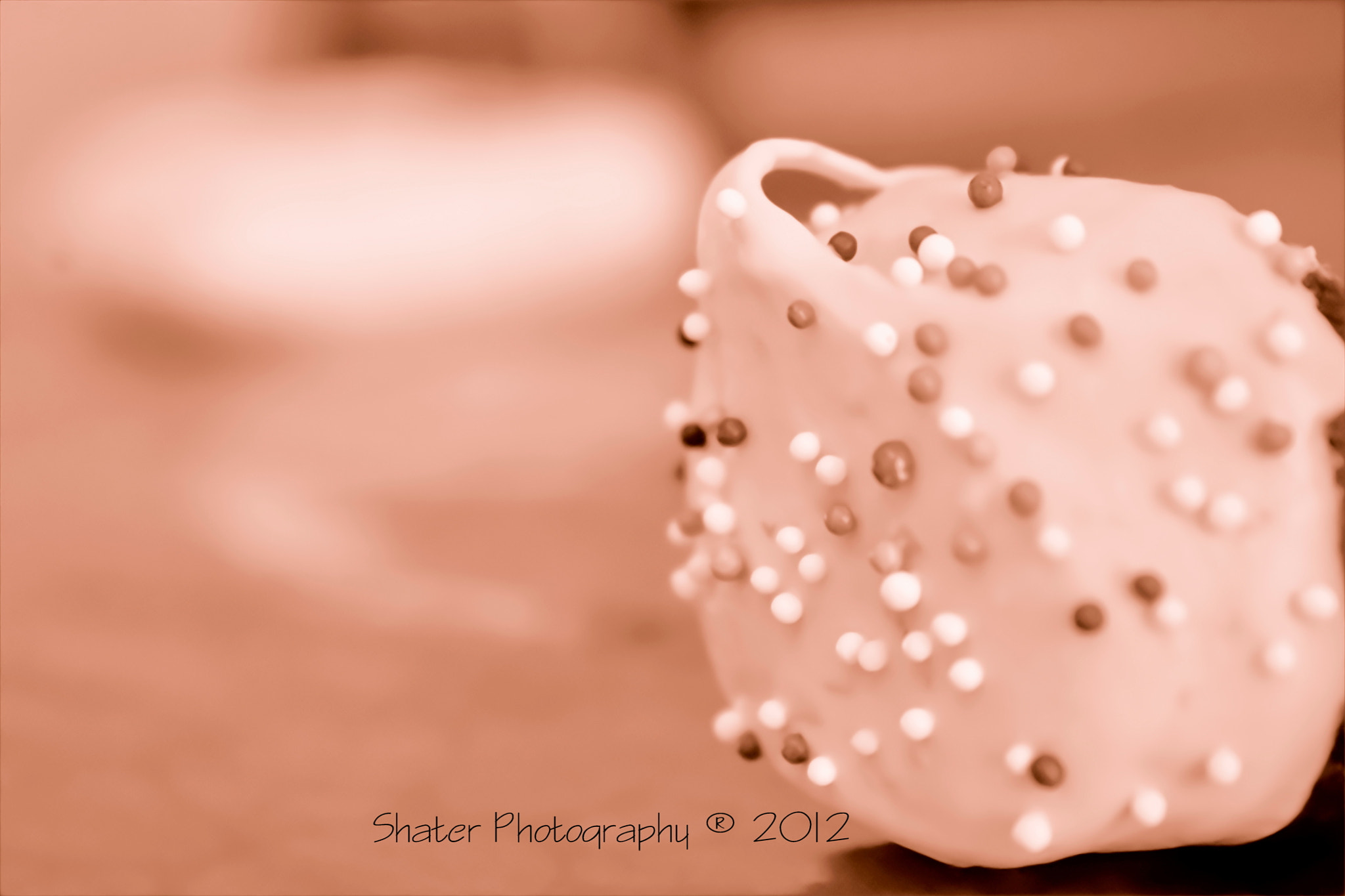 Canon EF 50mm f/1.8 sample photo. Cake pop photography