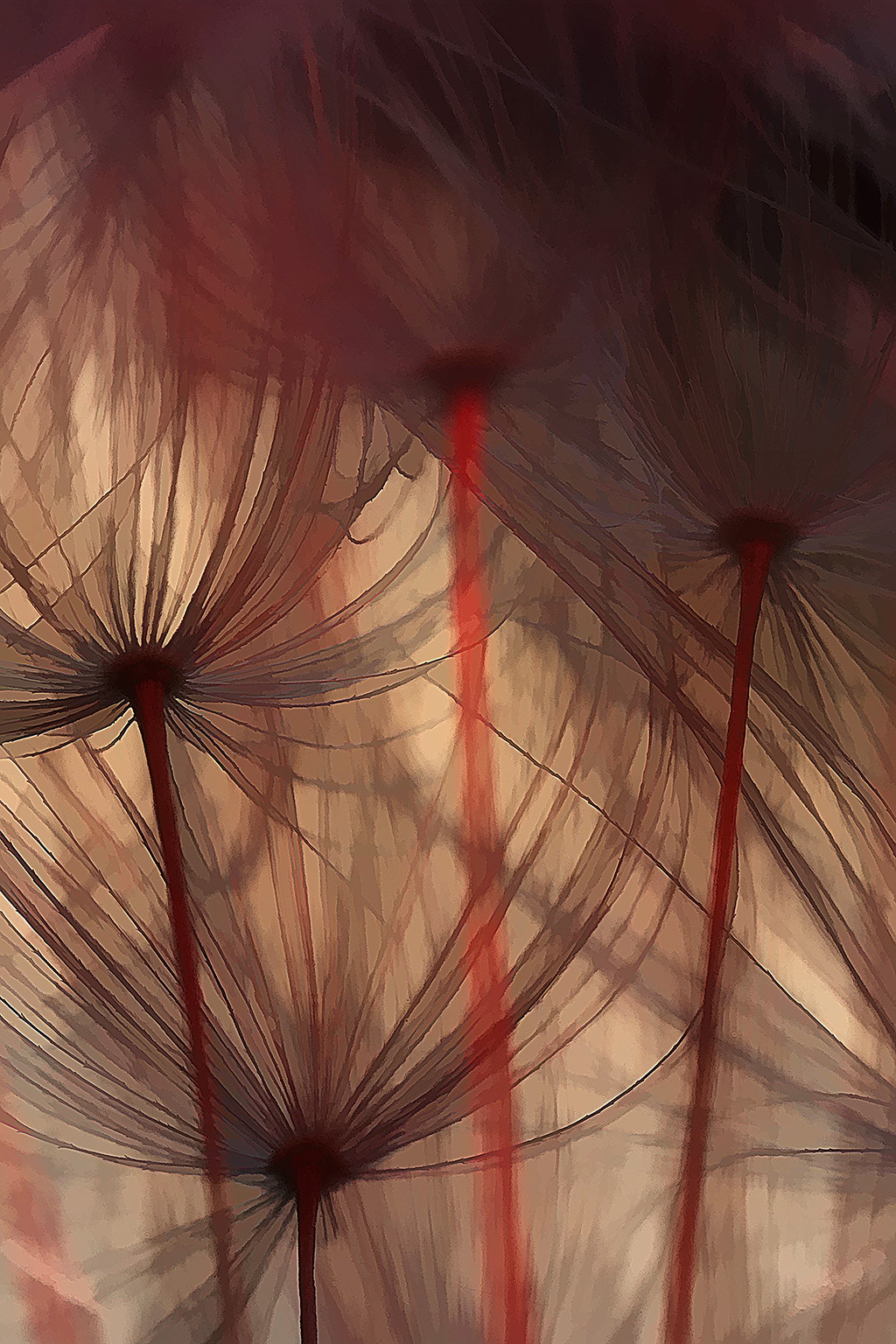 Canon MP-E 65mm F2.5 1-5x Macro Photo sample photo. Dandelion macro photography