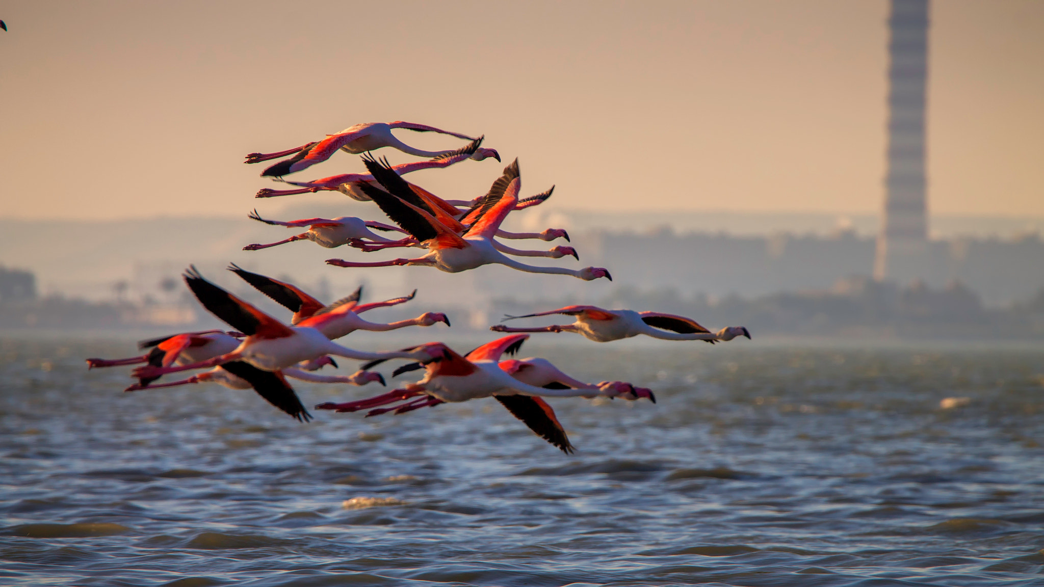 Tamron SP 150-600mm F5-6.3 Di VC USD sample photo. Race, but not for win photography