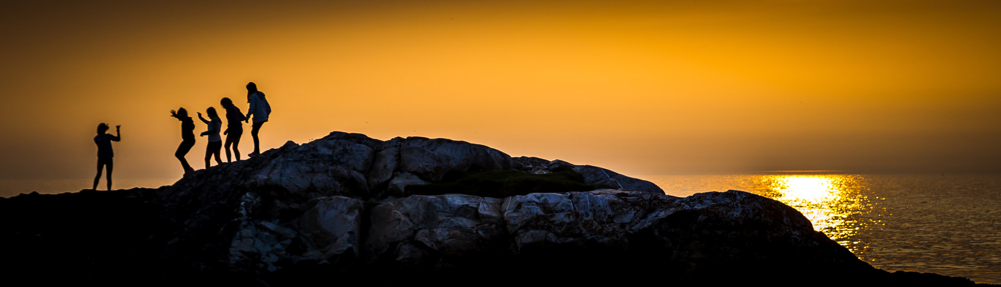 Canon EOS 700D (EOS Rebel T5i / EOS Kiss X7i) + Canon EF 400mm f/2.8L sample photo. In silhouette photography