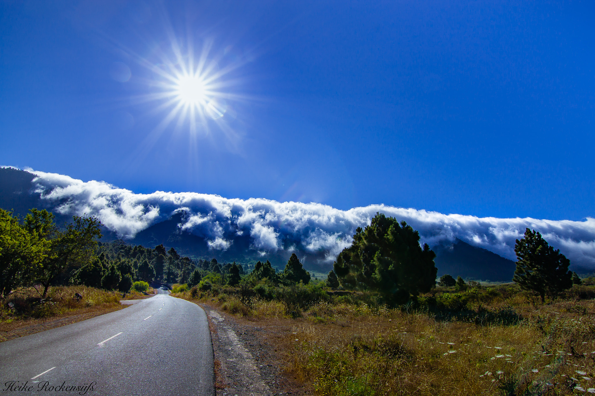 Canon EOS 500D (EOS Rebel T1i / EOS Kiss X3) sample photo. Road to misty mountains photography