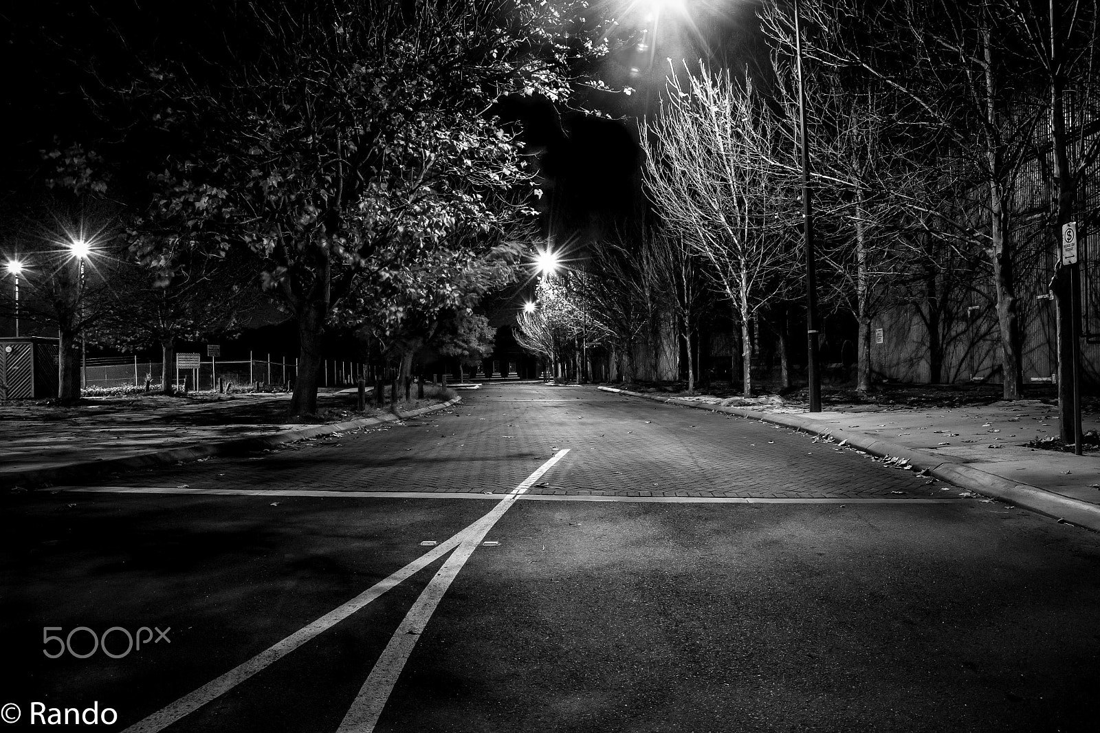 Nikon AF Nikkor 24-85mm F2.8-4D IF sample photo. Trees light street photography