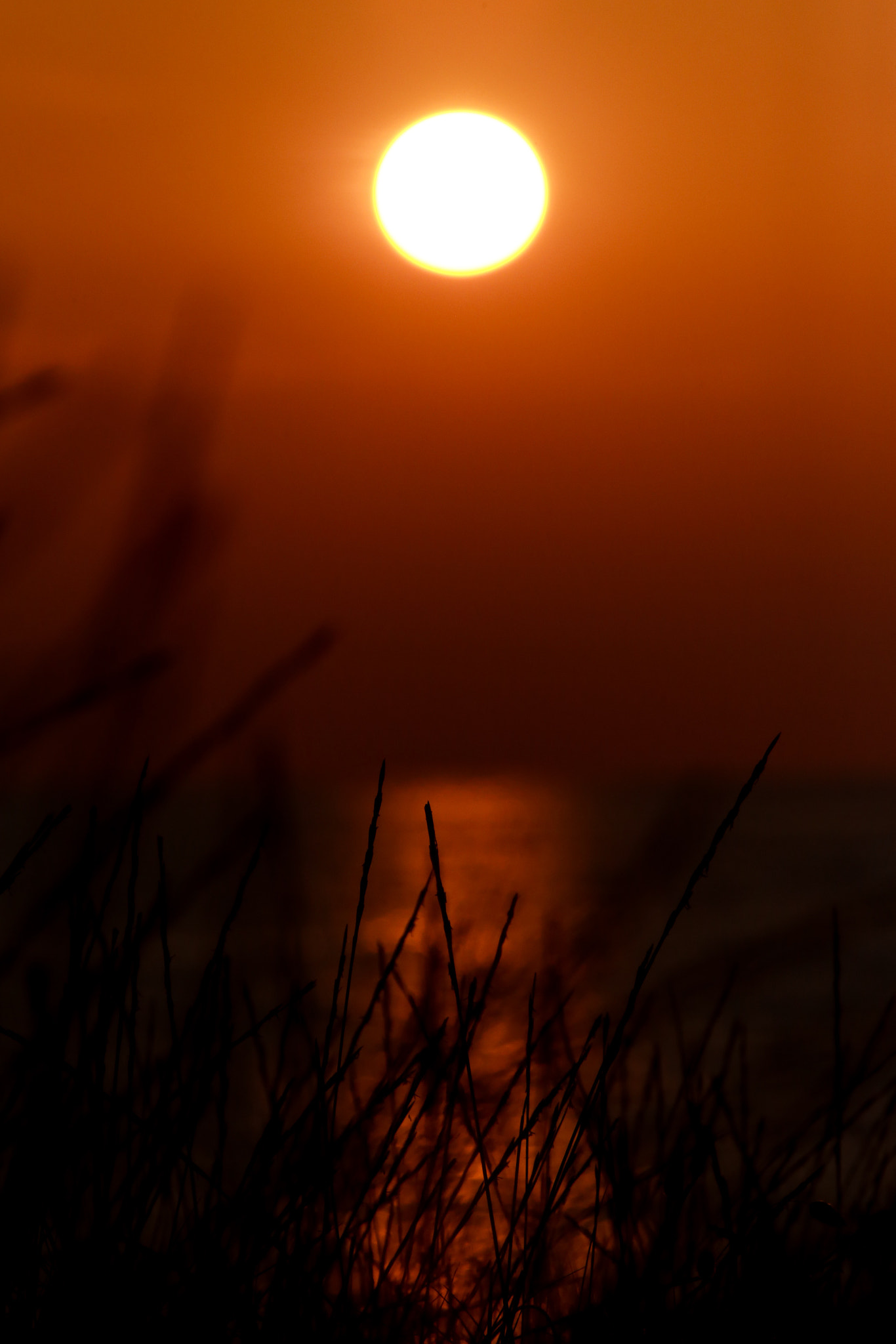 Canon EF 70-200mm F2.8L IS II USM sample photo. Verso il sole photography