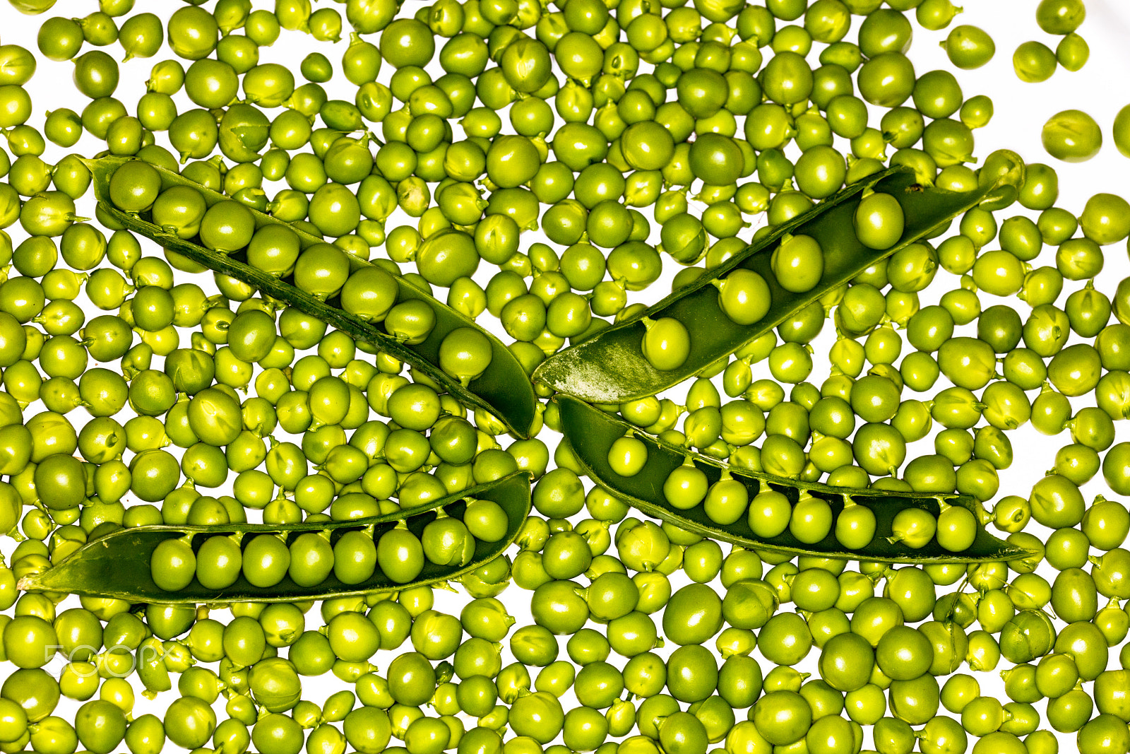 Sigma 150mm f/2.8 EX DG OS HSM APO Macro sample photo. Fresh green peas photography